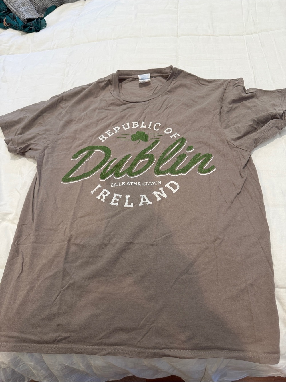 Dublin Ireland gray Graphic Tee , large